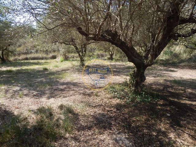 Undeveloped Land for sale in Ontinyent - € 10,600 (Ref: 9940333)