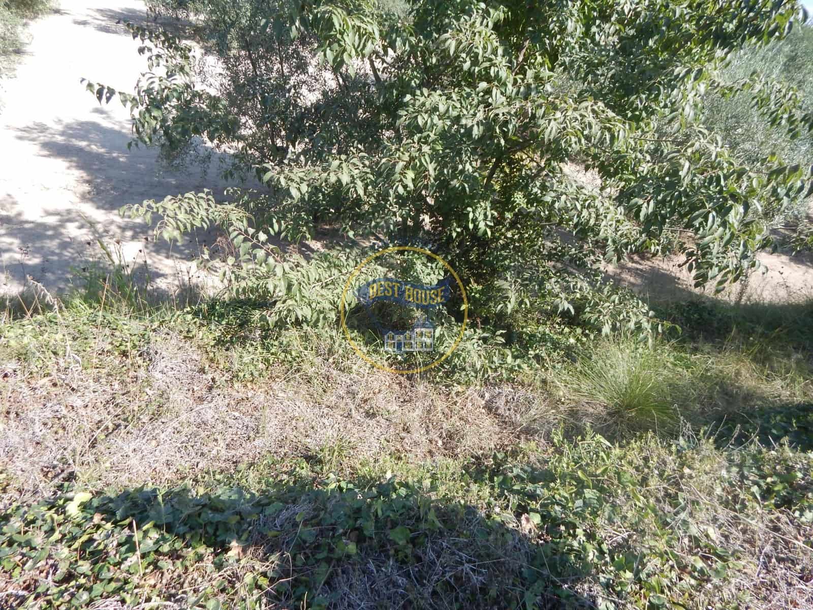 Undeveloped Land for sale in Ontinyent - € 10,600 (Ref: 9940333)
