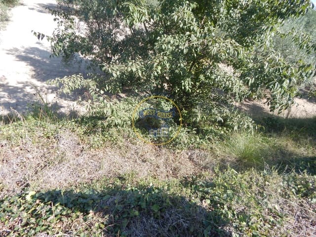 Undeveloped Land for sale in Ontinyent - € 10,600 (Ref: 9940333)