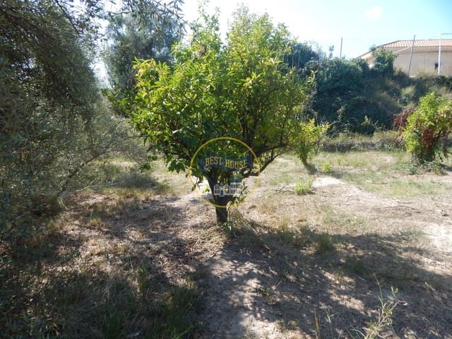 Undeveloped Land for sale in Ontinyent - € 10,600 (Ref: 9940333)