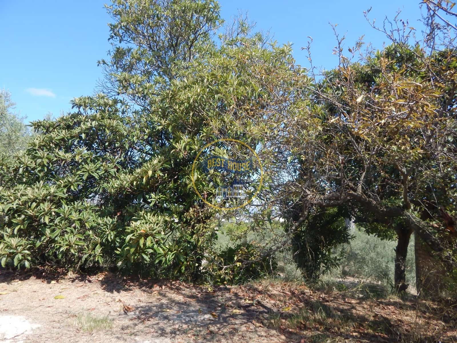 Undeveloped Land for sale in Ontinyent - € 10,600 (Ref: 9940333)