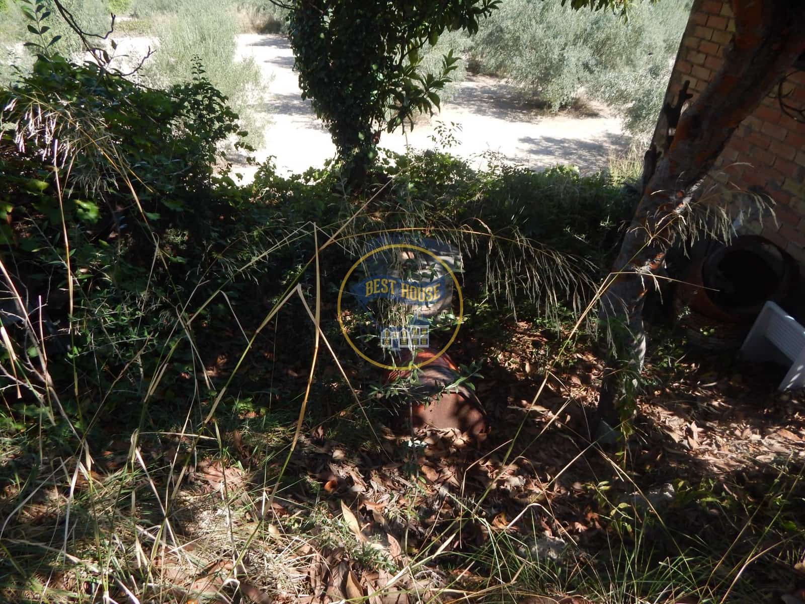 Undeveloped Land for sale in Ontinyent - € 10,600 (Ref: 9940333)