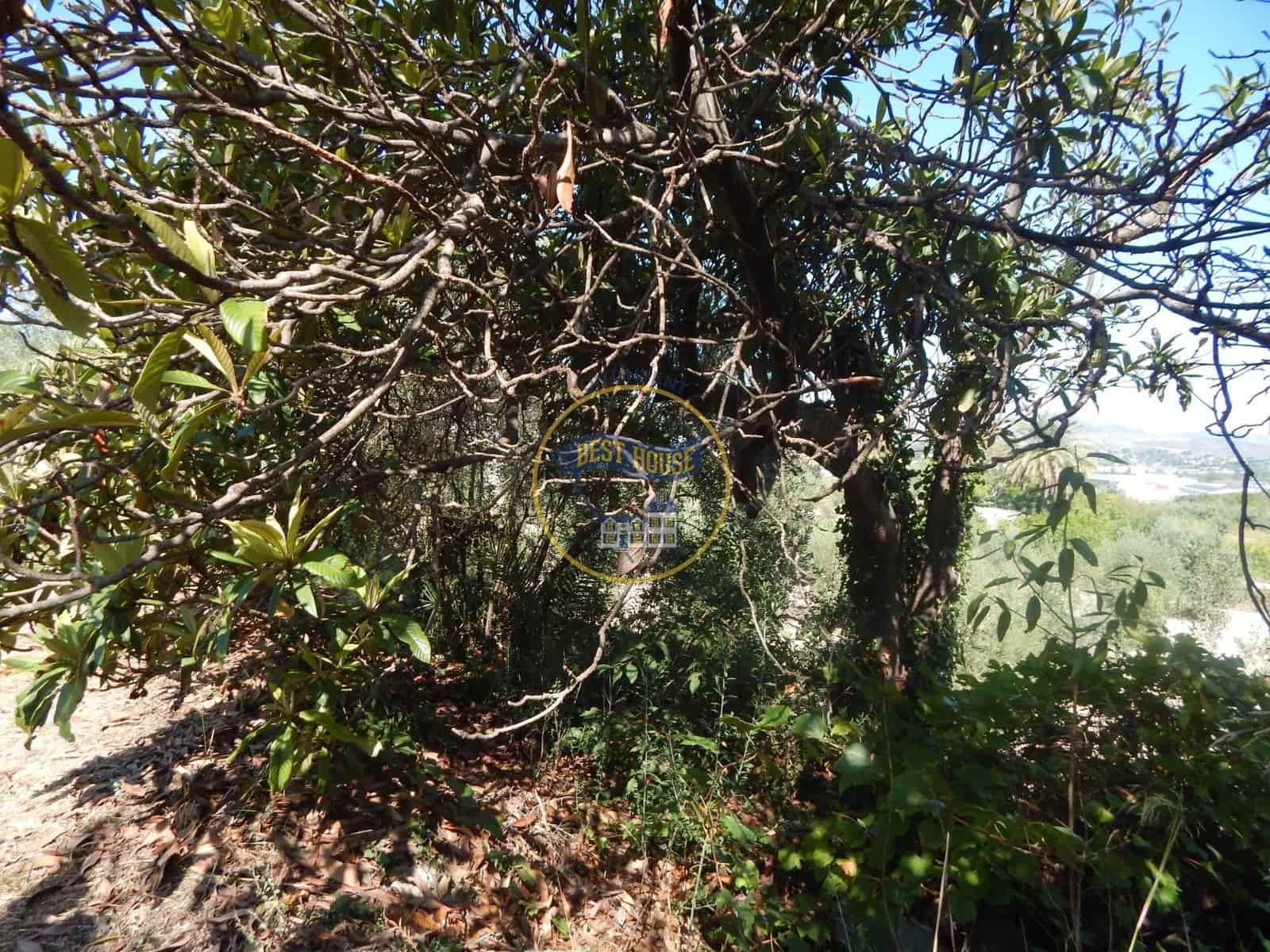 Undeveloped Land for sale in Ontinyent - € 10,600 (Ref: 9940333)
