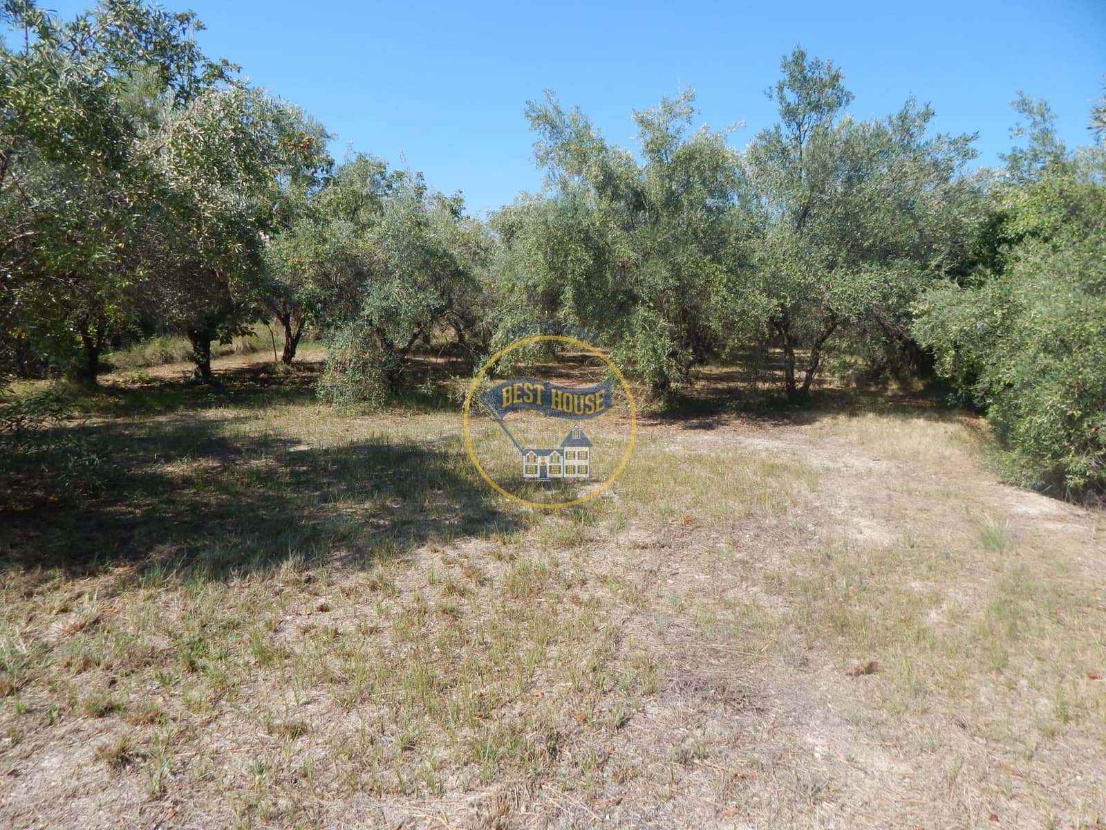 Undeveloped Land for sale in Ontinyent - € 10,600 (Ref: 9940333)