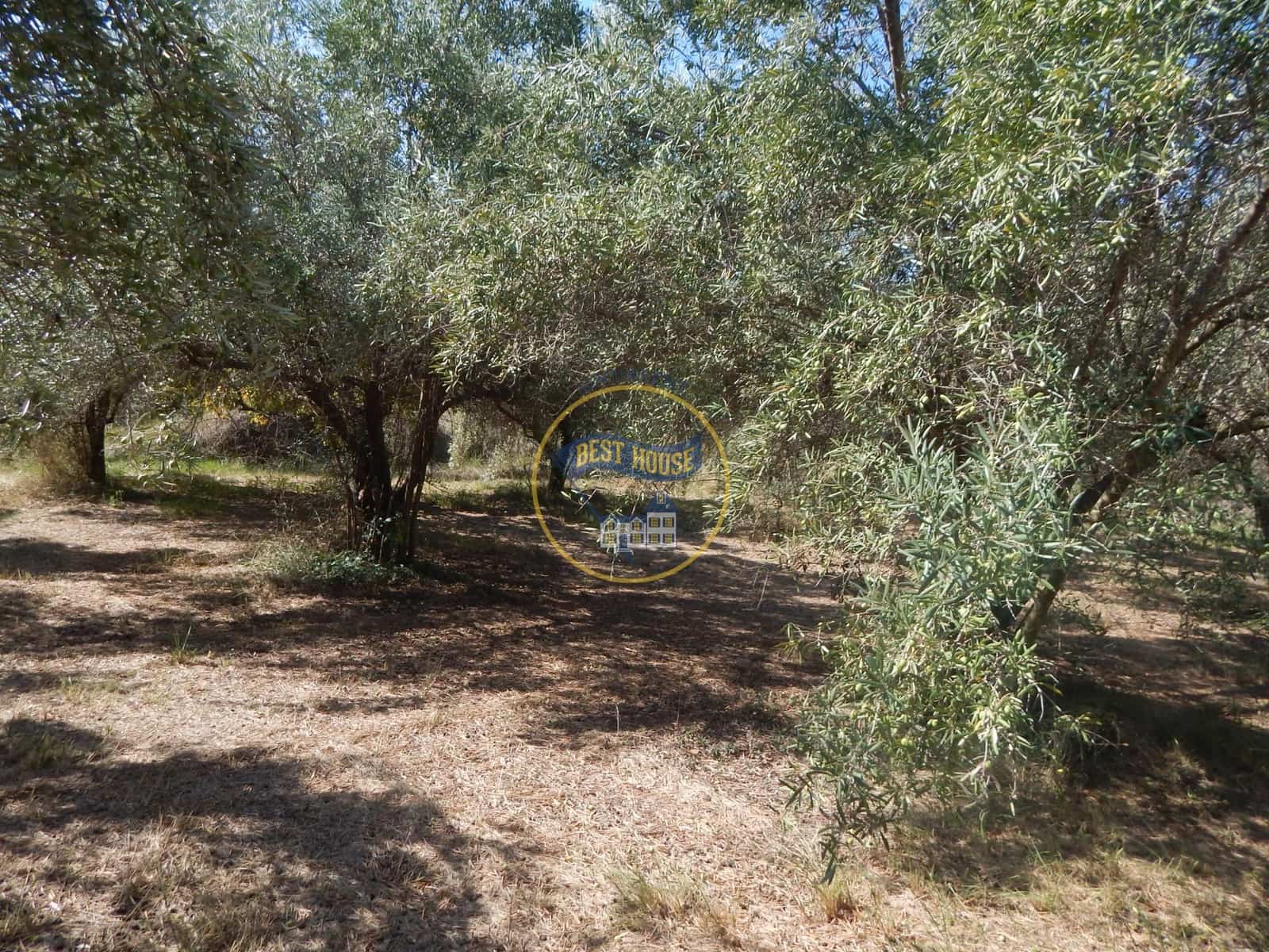 Undeveloped Land for sale in Ontinyent - € 10,600 (Ref: 9940333)