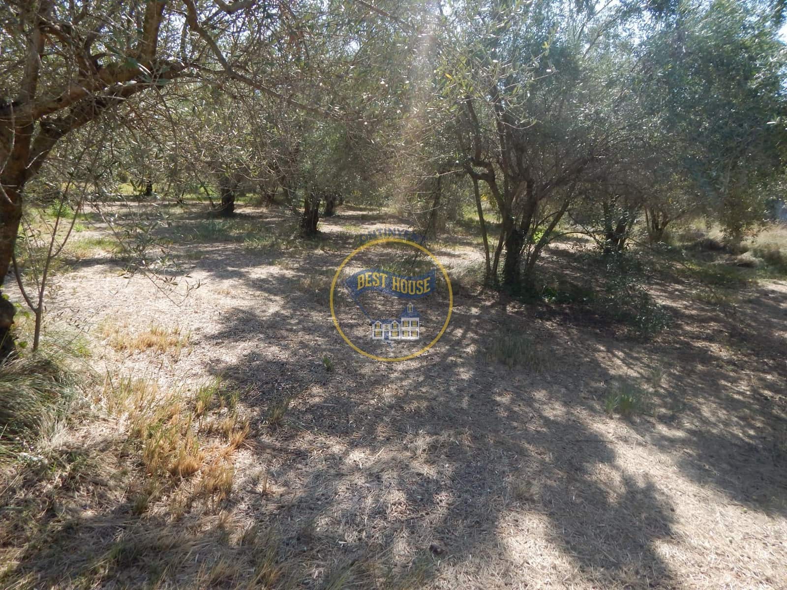 Undeveloped Land for sale in Ontinyent - € 10,600 (Ref: 9940333)