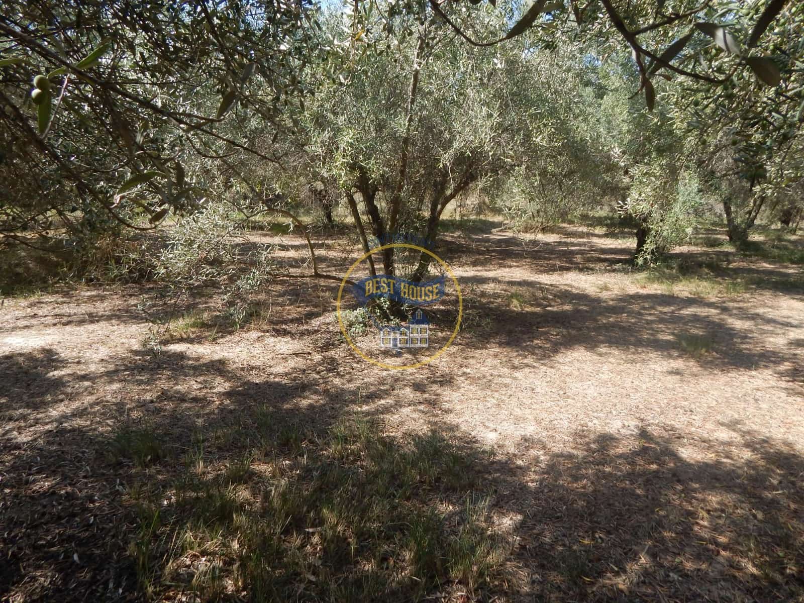 Undeveloped Land for sale in Ontinyent - € 10,600 (Ref: 9940333)