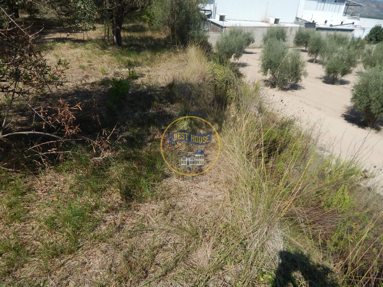 Undeveloped Land for sale in Ontinyent - € 10,600 (Ref: 9940333)