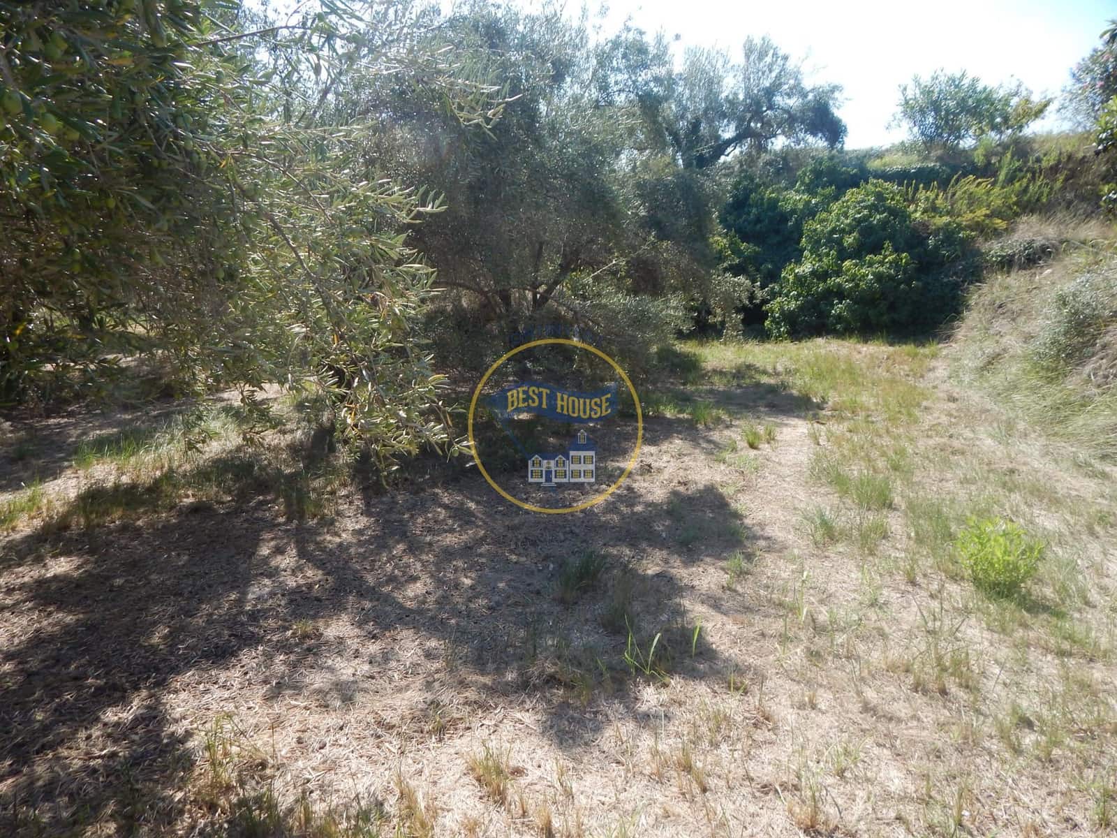Undeveloped Land for sale in Ontinyent - € 10,600 (Ref: 9940333)
