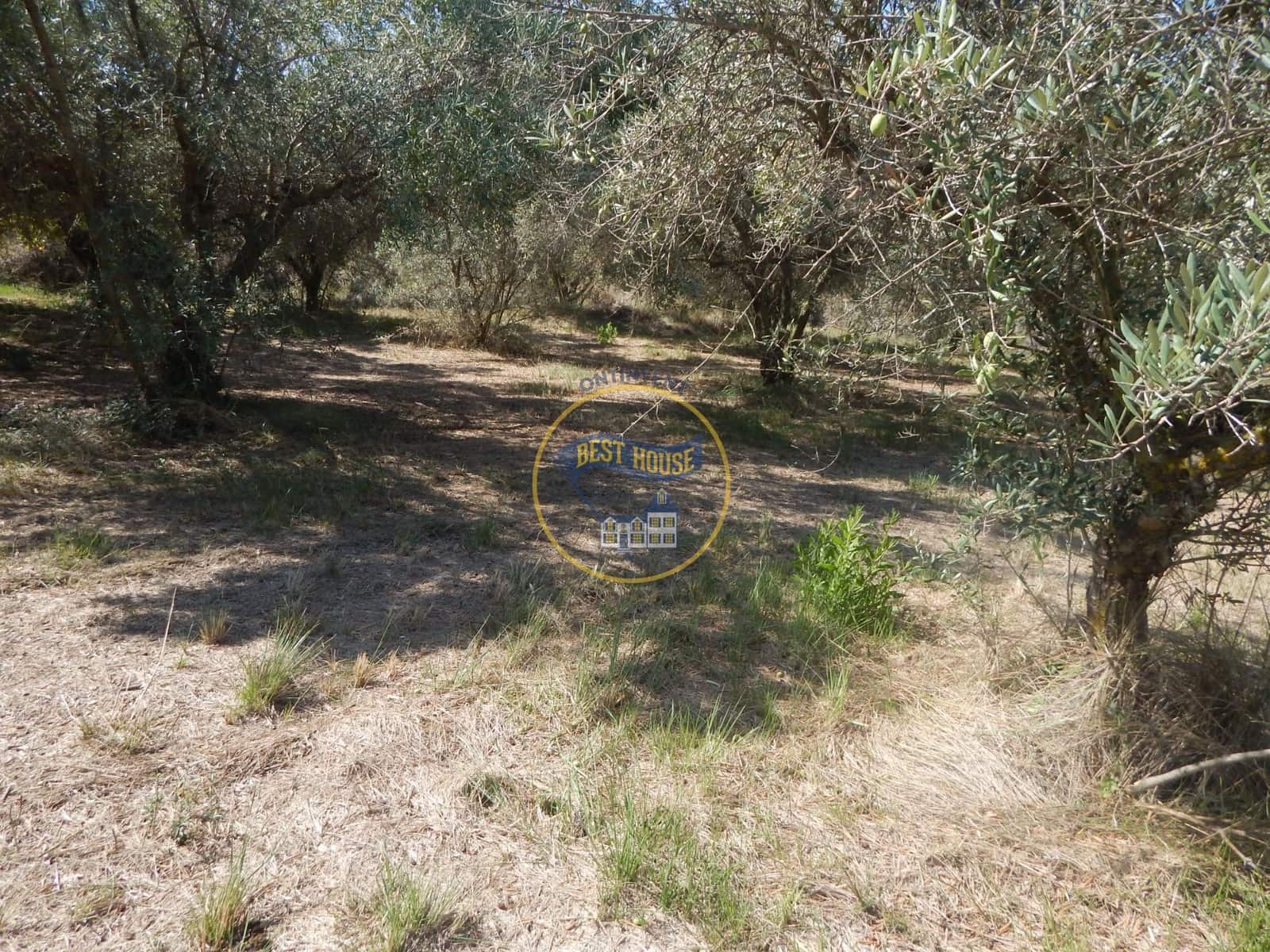 Undeveloped Land for sale in Ontinyent - € 10,600 (Ref: 9940333)