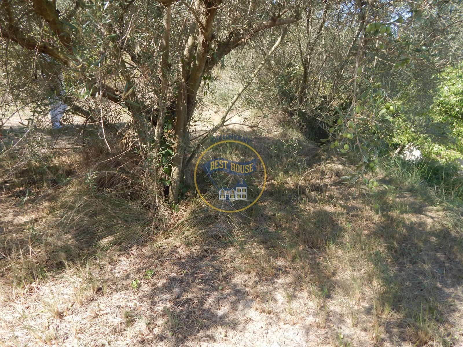 Undeveloped Land for sale in Ontinyent - € 10,600 (Ref: 9940333)