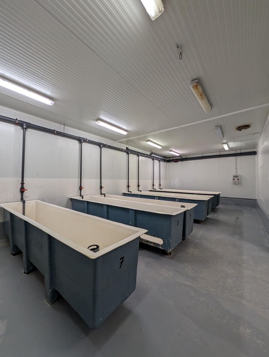 Business for sale in Ayamonte - € 419,000 (Ref: 9799449)