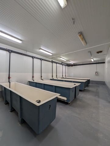 Bedrift til salgs i Ayamonte - € 419 000 (Ref: 9799449)