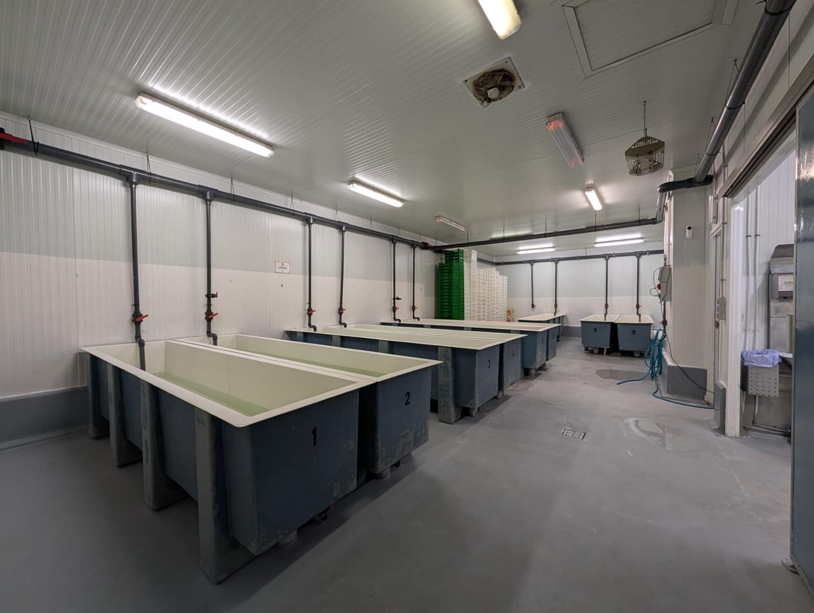 Business for sale in Ayamonte - € 419,000 (Ref: 9799449)