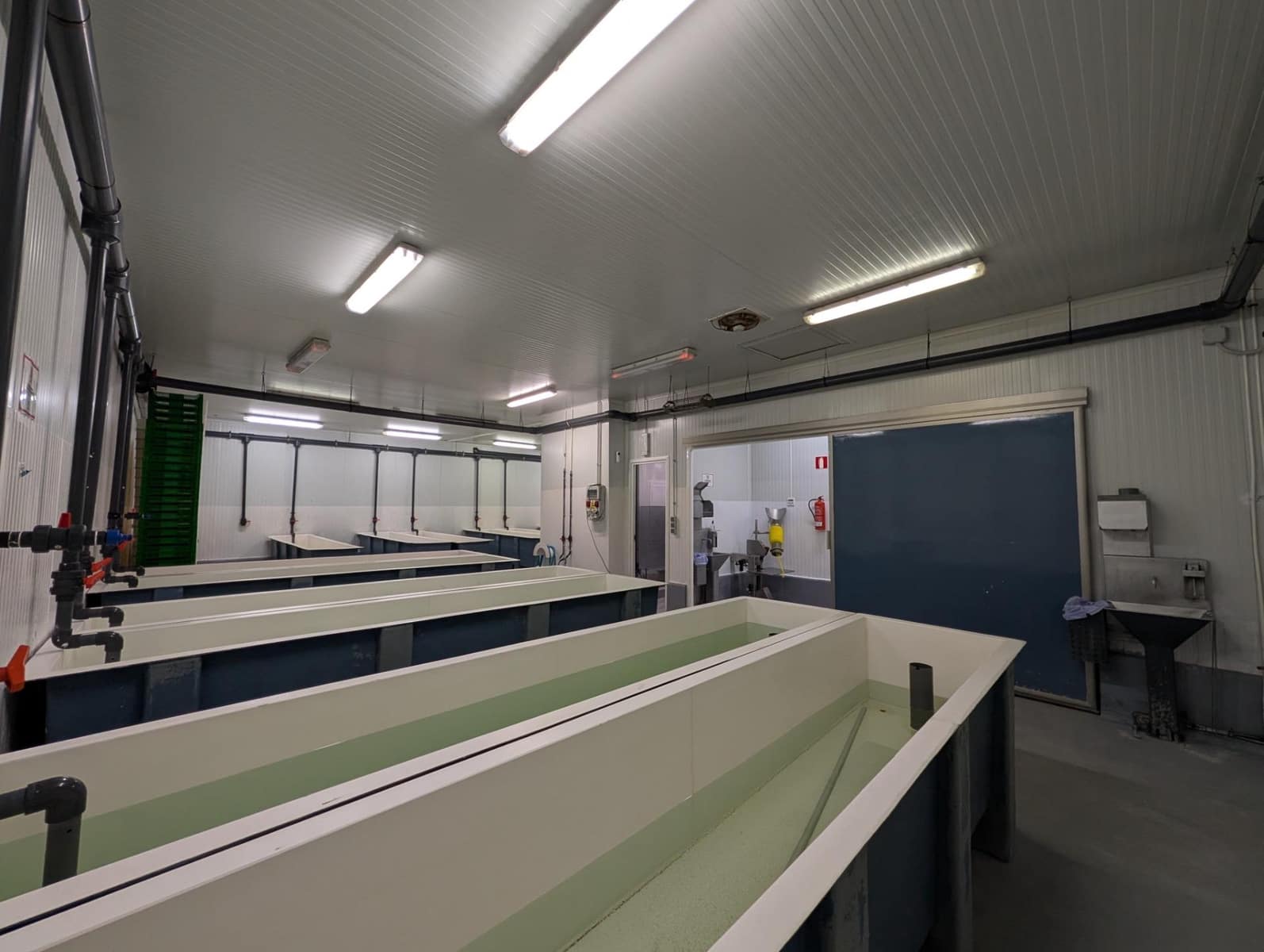 Business for sale in Ayamonte - € 419,000 (Ref: 9799449)