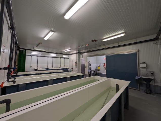 Bedrift til salgs i Ayamonte - € 419 000 (Ref: 9799449)