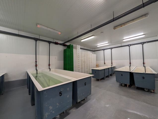 Bedrift til salgs i Ayamonte - € 419 000 (Ref: 9799449)