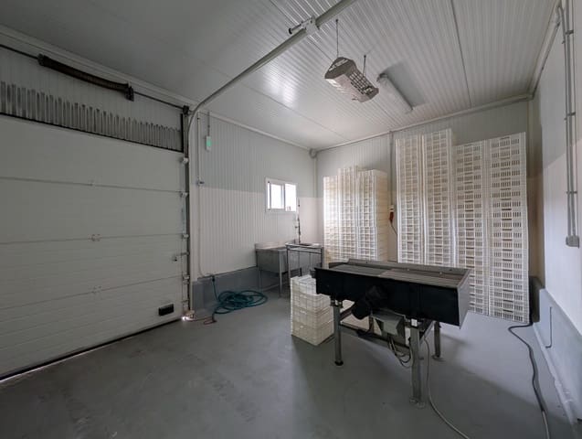 Bedrift til salgs i Ayamonte - € 419 000 (Ref: 9799449)