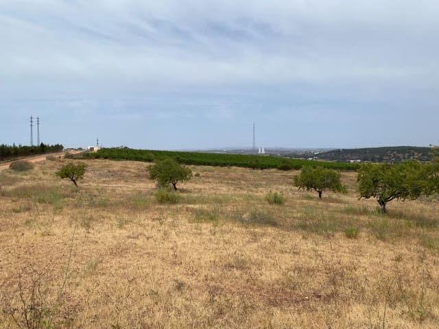 Building Plot for sale in Ayamonte - € 225,000 (Ref: 9934369)