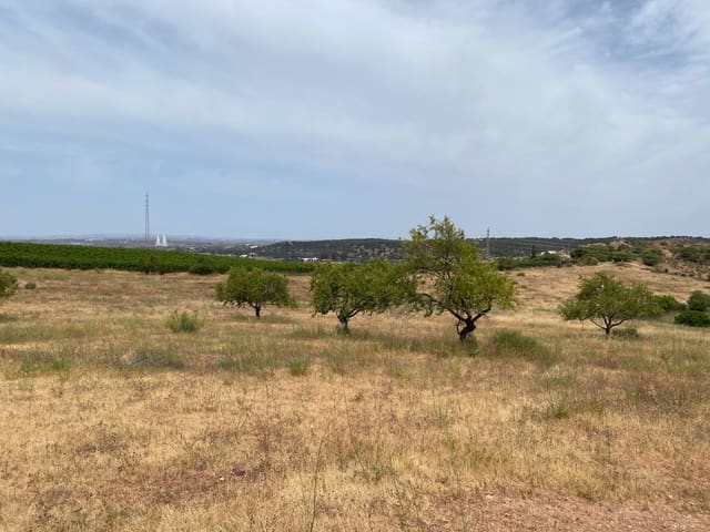 Building Plot for sale in Ayamonte - € 225,000 (Ref: 9934369)