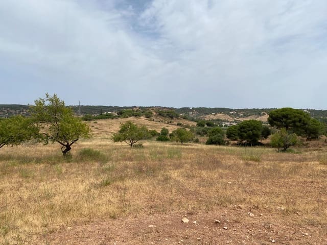 Building Plot for sale in Ayamonte - € 225,000 (Ref: 9934369)