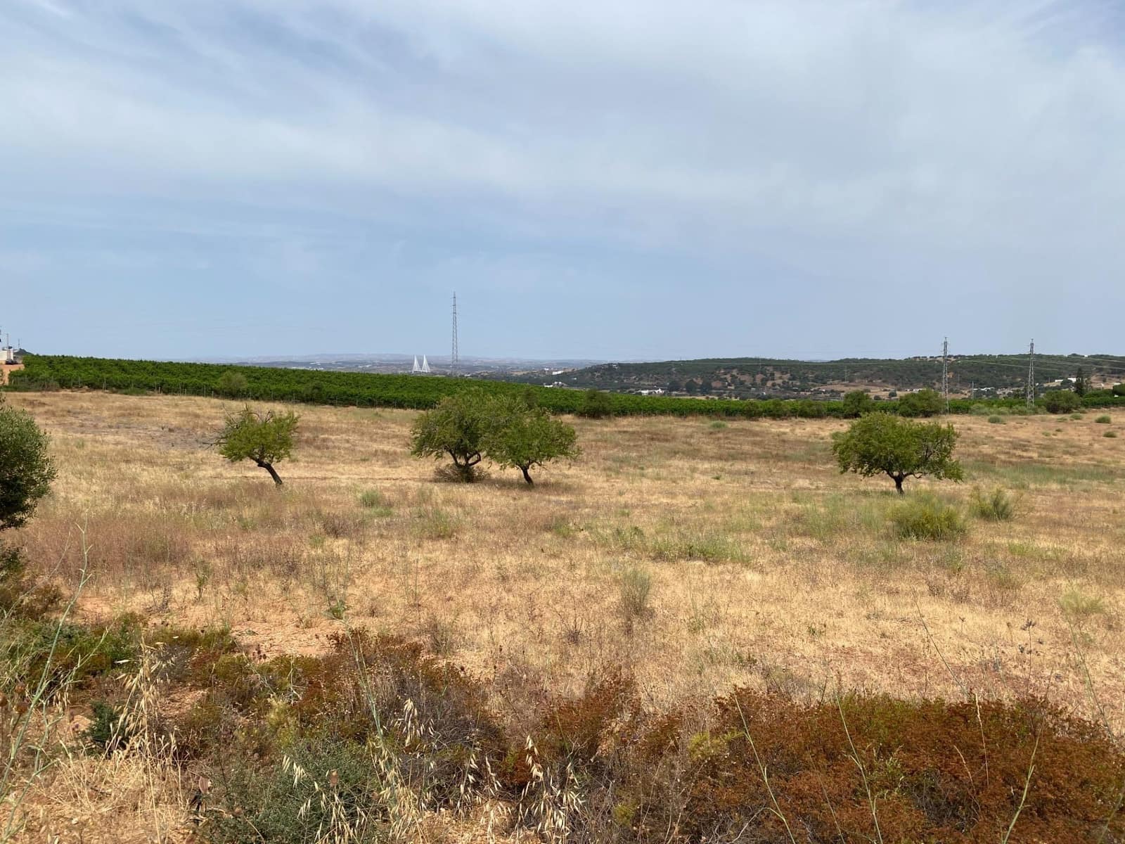 Building Plot for sale in Ayamonte - € 225,000 (Ref: 9934369)