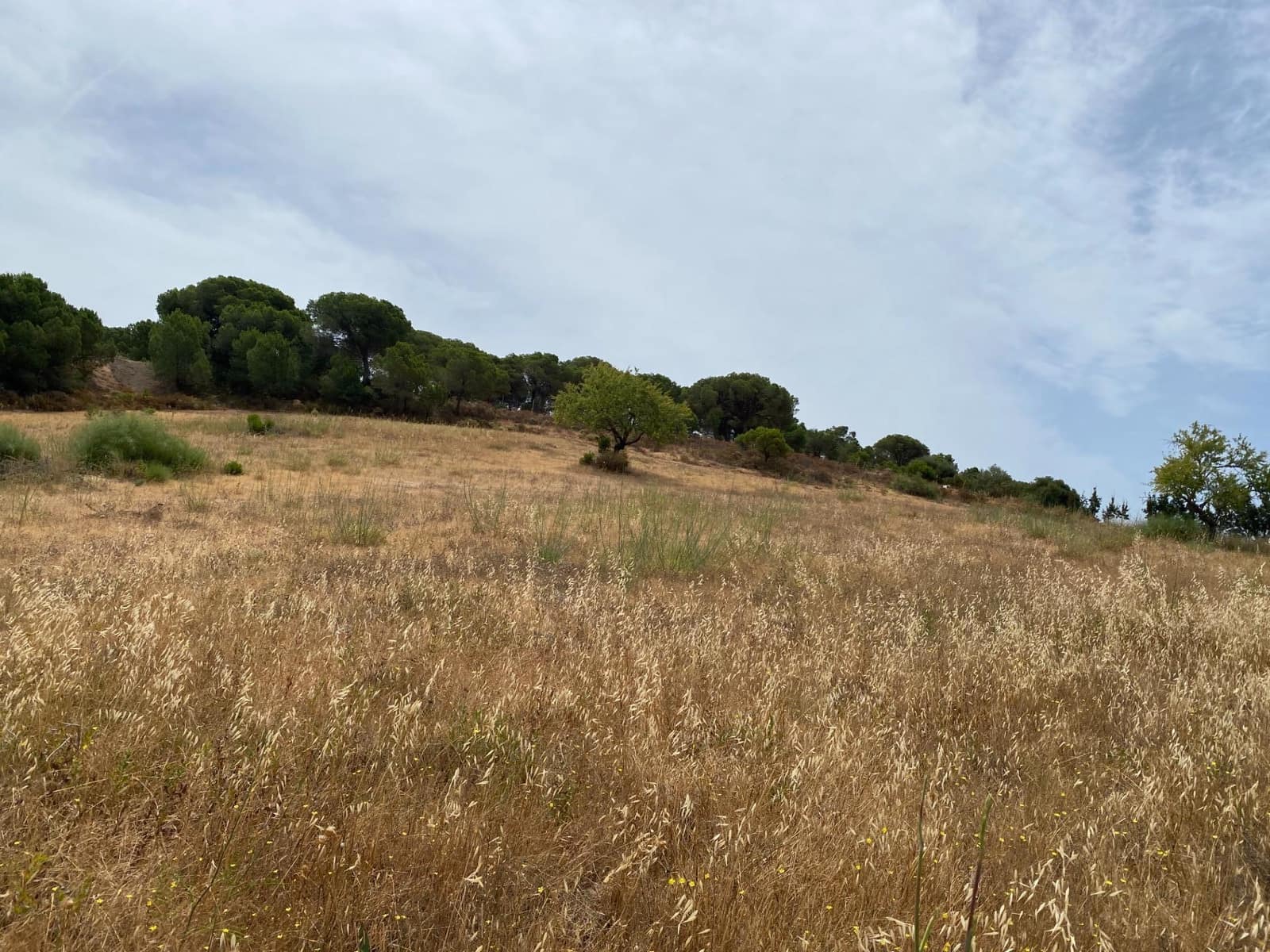 Building Plot for sale in Ayamonte - € 225,000 (Ref: 9934369)