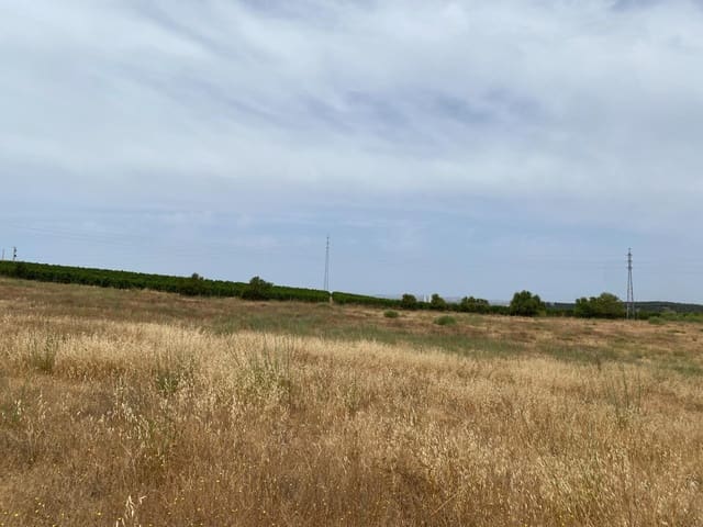 Building Plot for sale in Ayamonte - € 225,000 (Ref: 9934369)