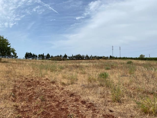 Building Plot for sale in Ayamonte - € 225,000 (Ref: 9934369)