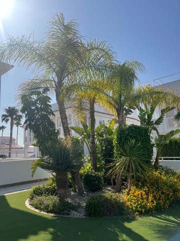 Bungalow de 3 habitaciones en Rojales en venta con piscina - 305.000 € (Ref: 10076549)