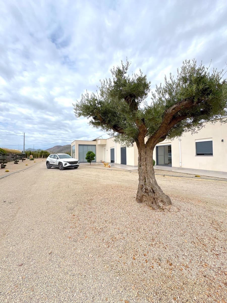 3 bedroom Villa for sale in Abanilla with pool garage - € 470,000 (Ref: 10142503)