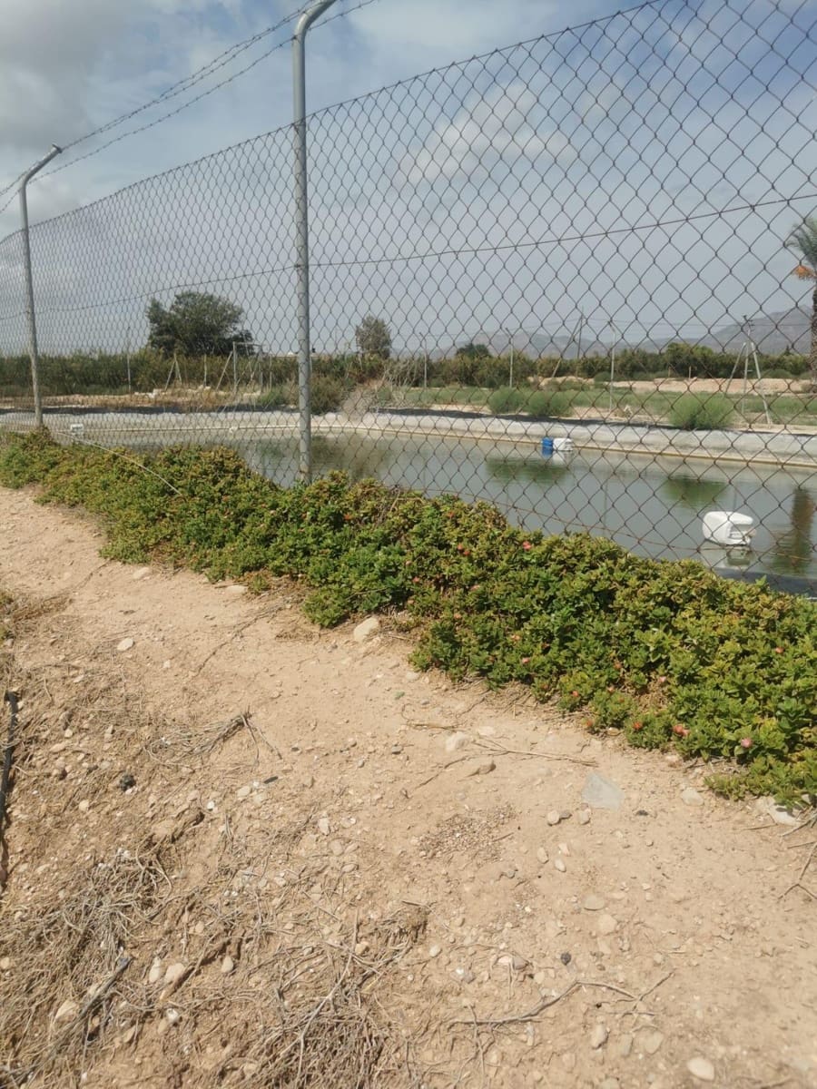 3 soveværelse Villa til salg i Crevillente / Crevillent - € 425.000 (Ref: 9509066)