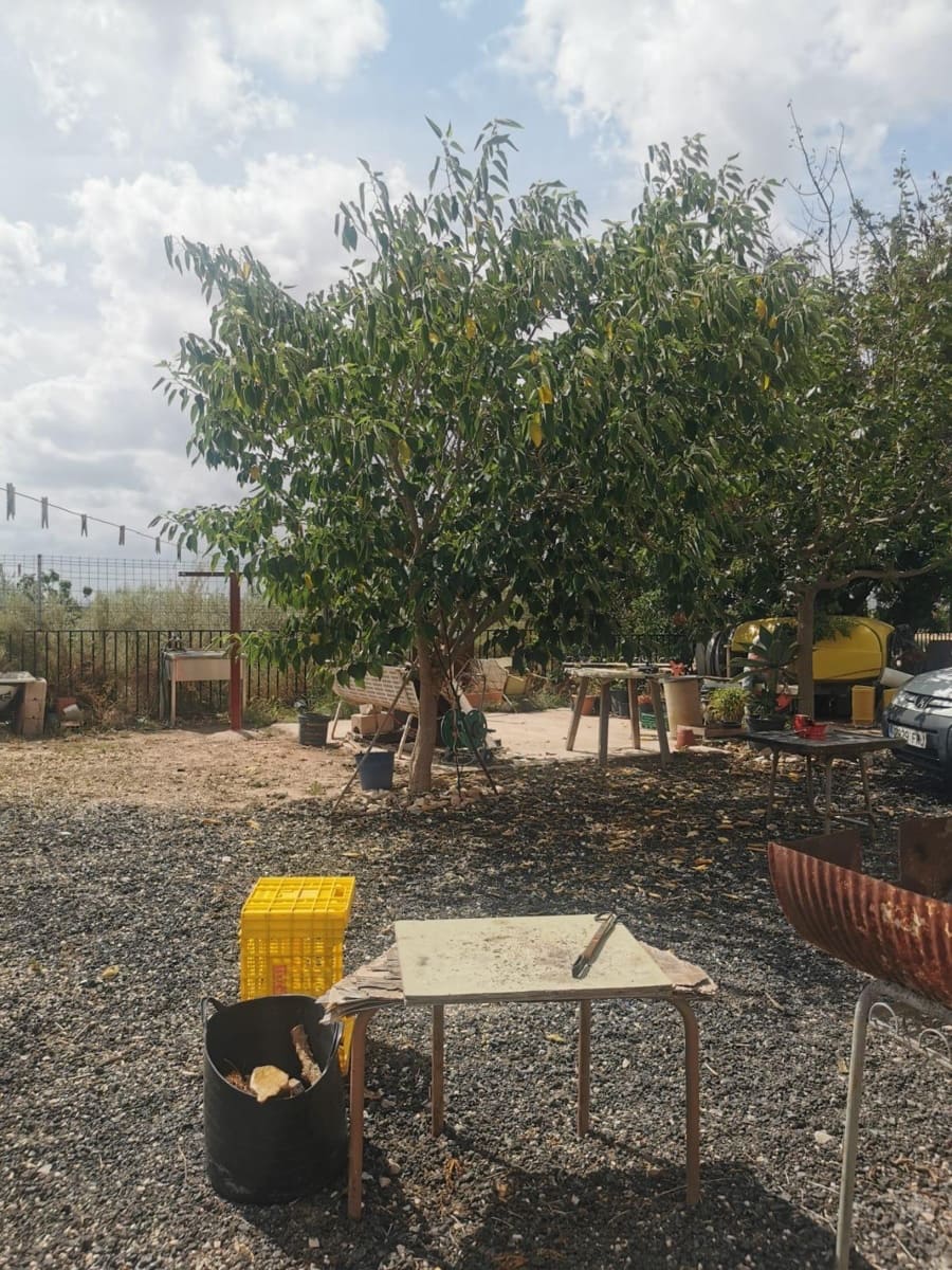 3 soveværelse Villa til salg i Crevillente / Crevillent - € 425.000 (Ref: 9509066)