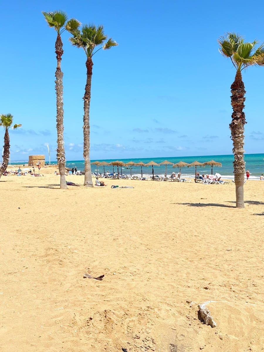 1 soveværelse Penthouse til salg i Torrevieja - € 175.000 (Ref: 9806575)