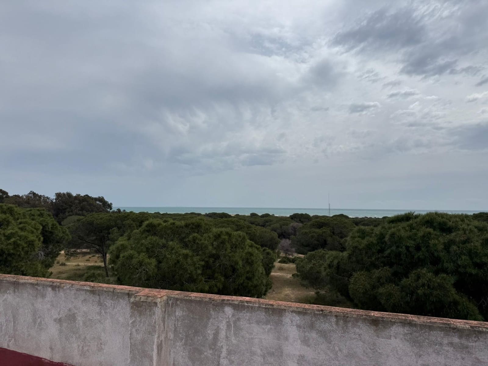 3 chambre Appartement à vendre à Guardamar del Segura - 265 000 € (Ref: 9820325)