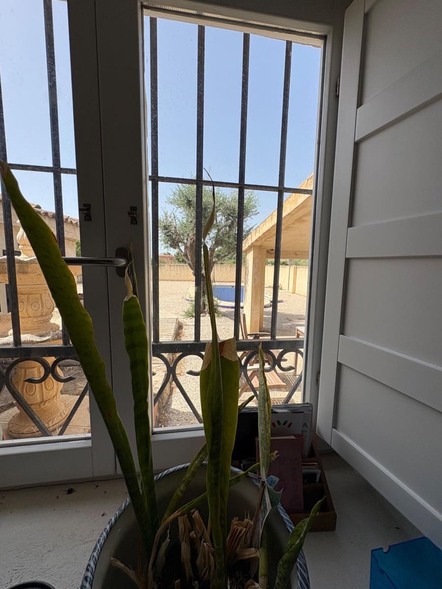 3 quarto Moradia para venda em Algorfa com piscina garagem - 439 900 € (Ref: 9898919)