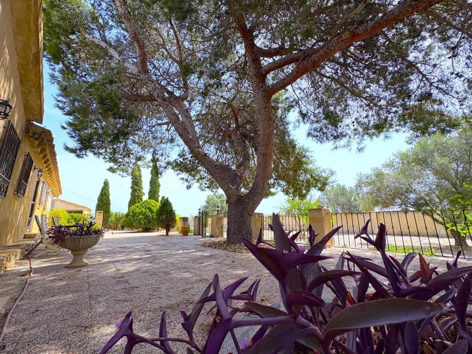 3 quarto Moradia para venda em Algorfa com piscina garagem - 439 900 € (Ref: 9898919)