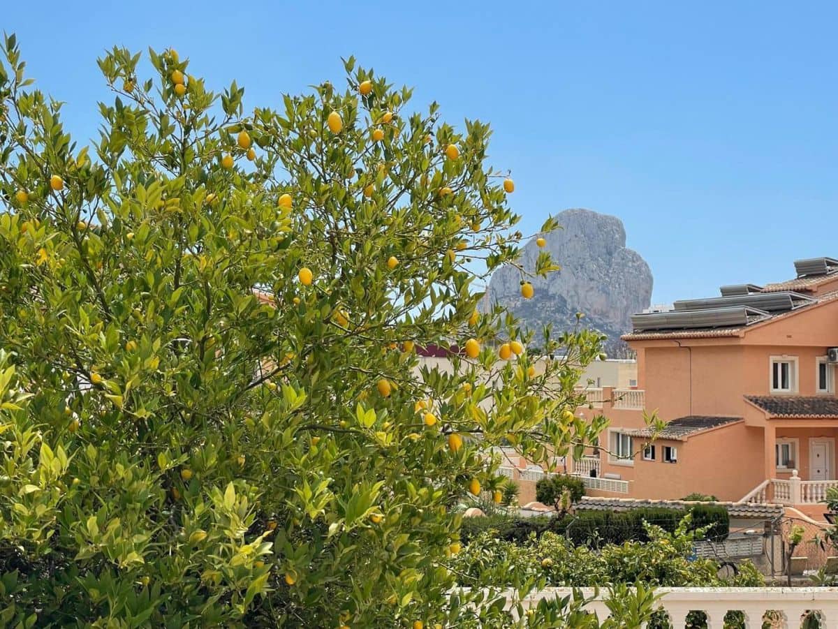 6 soveværelse Villa til salg i Calpe / Calp - € 1.200.000 (Ref: 8801874)