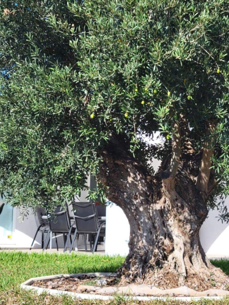 3 bedroom Villa for sale in Calpe / Calp with pool - € 795,000 (Ref: 8801878)