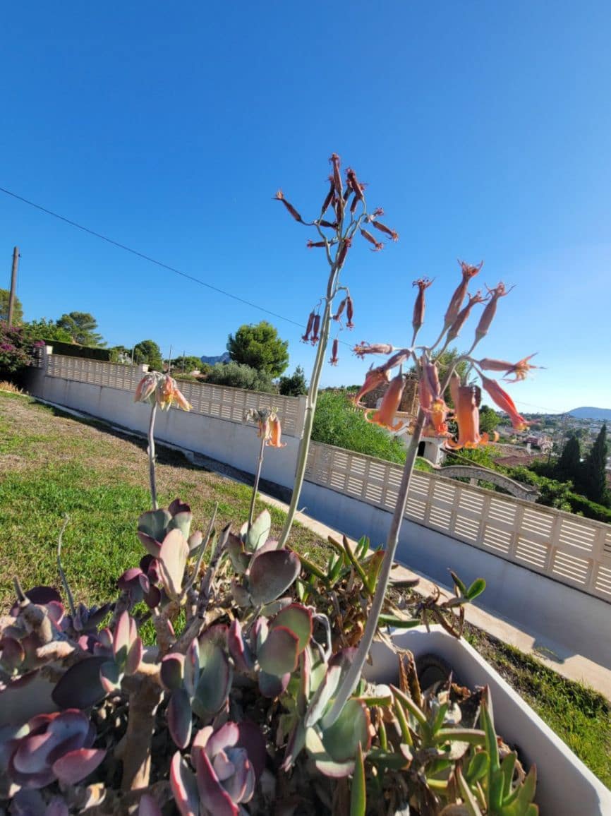 3 bedroom Villa for sale in Calpe / Calp with pool - € 795,000 (Ref: 8801878)