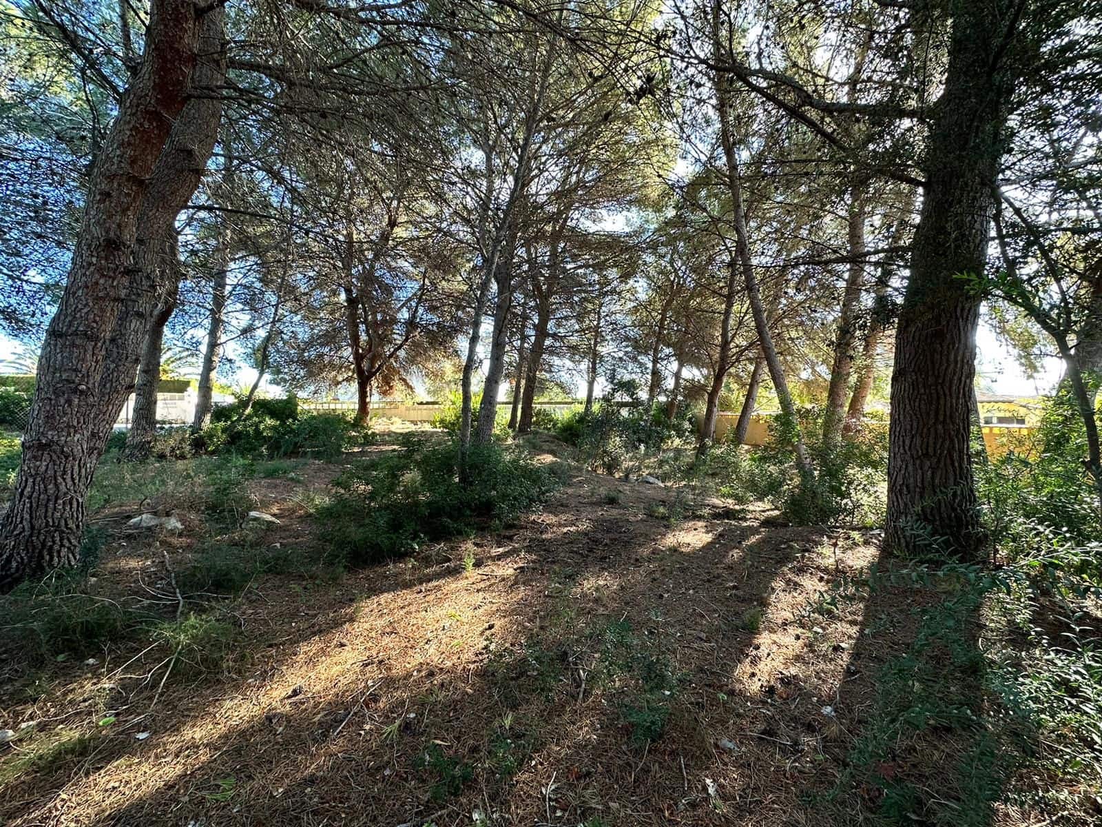 Bouwgrond te koop in Calpe / Calp - € 250.000 (Ref: 8801886)