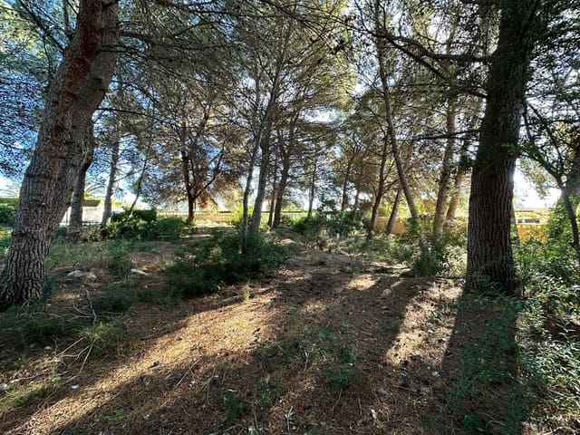 Bouwgrond te koop in Calpe / Calp - € 250.000 (Ref: 8801886)