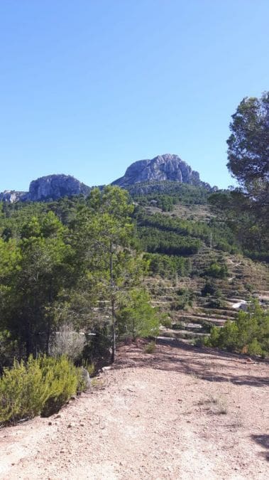 Bouwgrond te koop in Benissa - € 190.000 (Ref: 8801905)