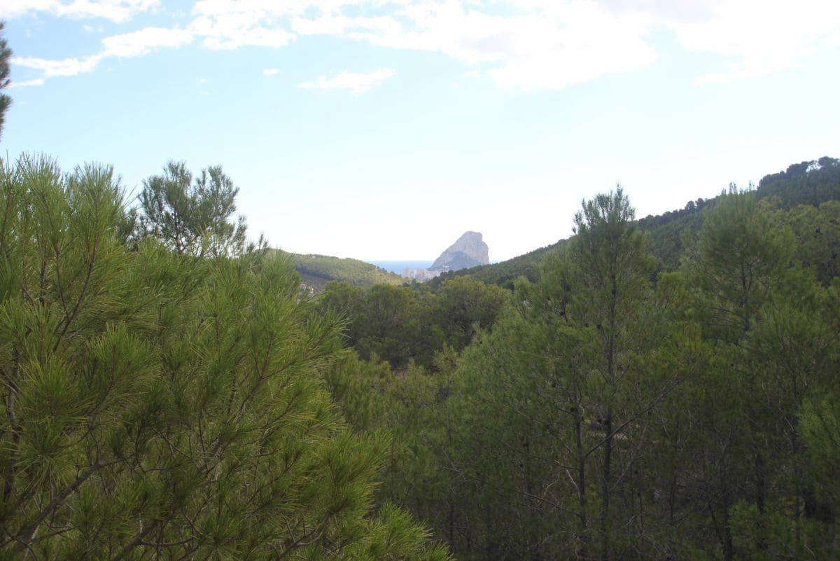 Bouwgrond te koop in Benissa - € 190.000 (Ref: 8801905)