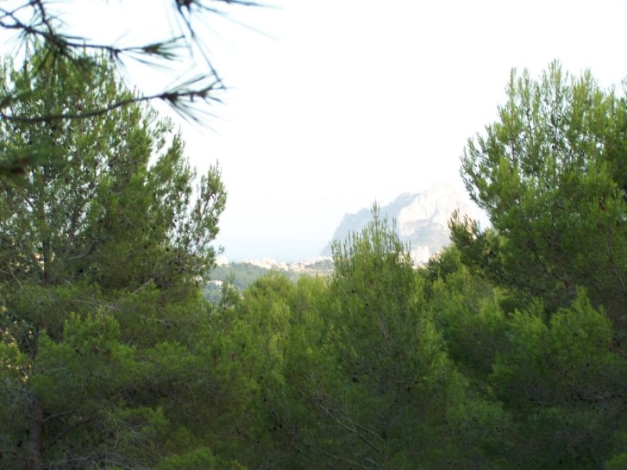 Bouwgrond te koop in Benissa - € 250.000 (Ref: 8801915)