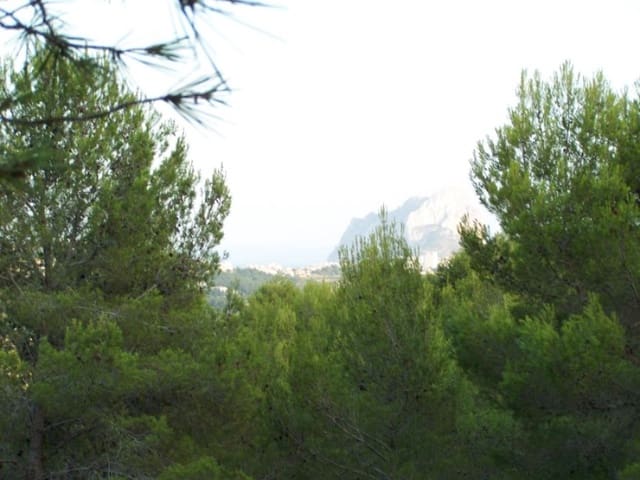 Bouwgrond te koop in Benissa - € 250.000 (Ref: 8801915)