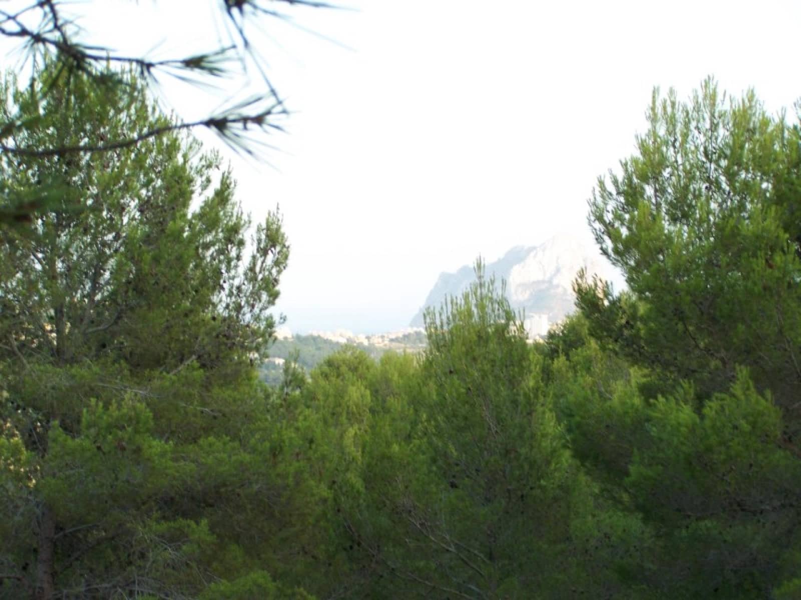 Bouwgrond te koop in Benissa - € 250.000 (Ref: 8801915)