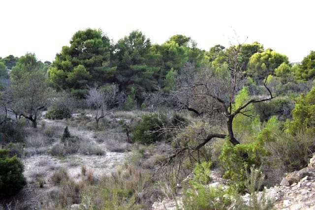 Grond te koop in Calpe / Calp - € 198.000 (Ref: 8801948)