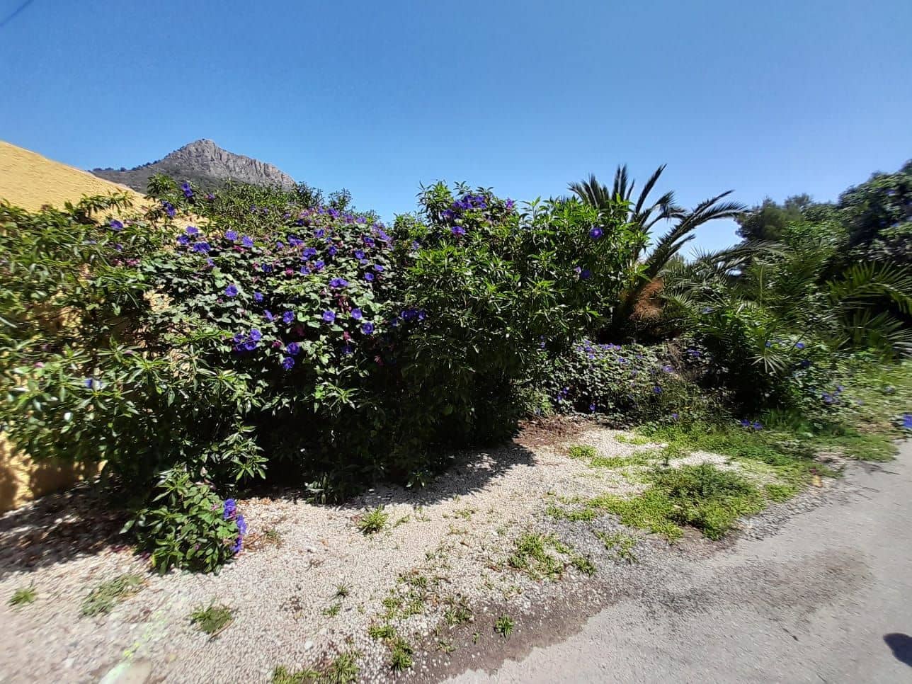 Byggetomt til salgs i Calpe / Calp - € 150 000 (Ref: 8801954)