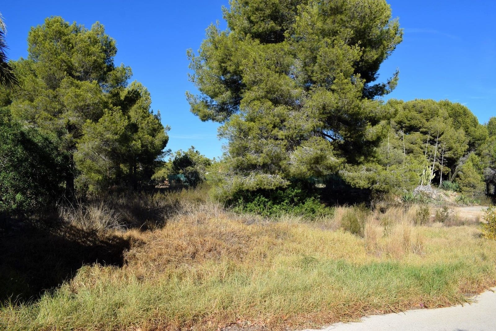 Building Plot for sale in Calpe / Calp - € 240,000 (Ref: 8801964)